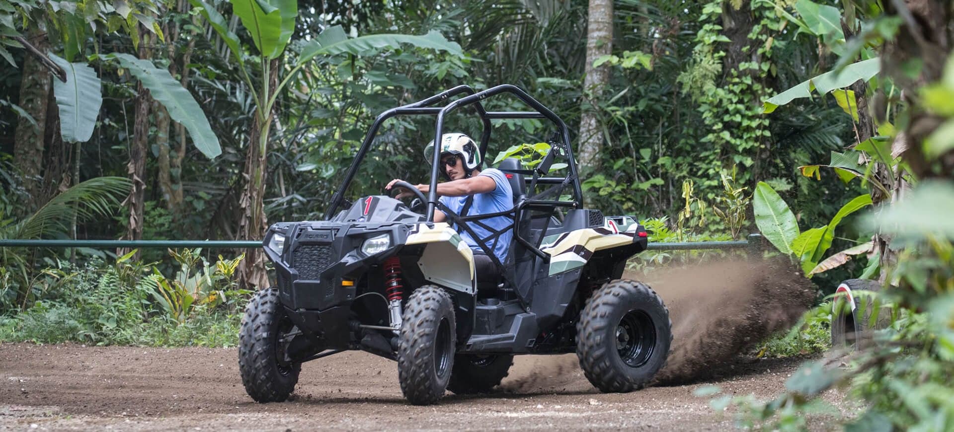 Jungle Buggies