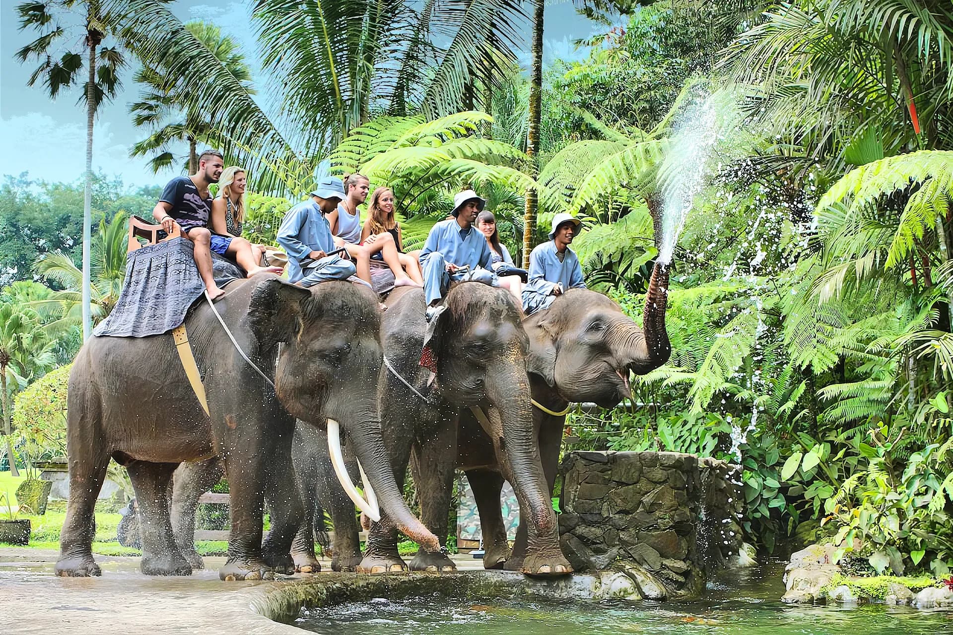 Elephant Park Tour