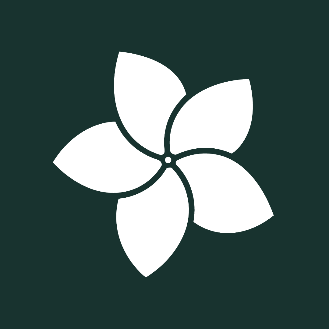 Escavana Stays logo